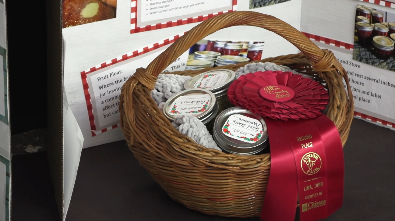 Students shine in 4-H Special Interest Projects at the Allen County Fair